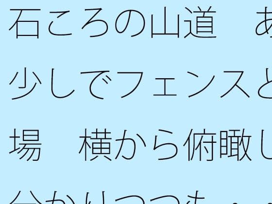 石ころの山道  あと少しでフェンスと広場  横から俯瞰して分かりつつも・・・・