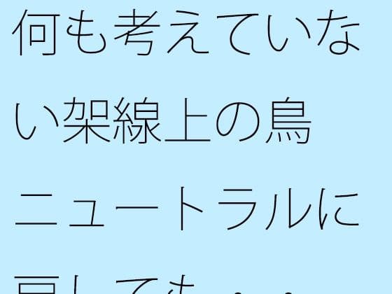何も考えていない架線上の鳥  ニュートラルに戻しても・・